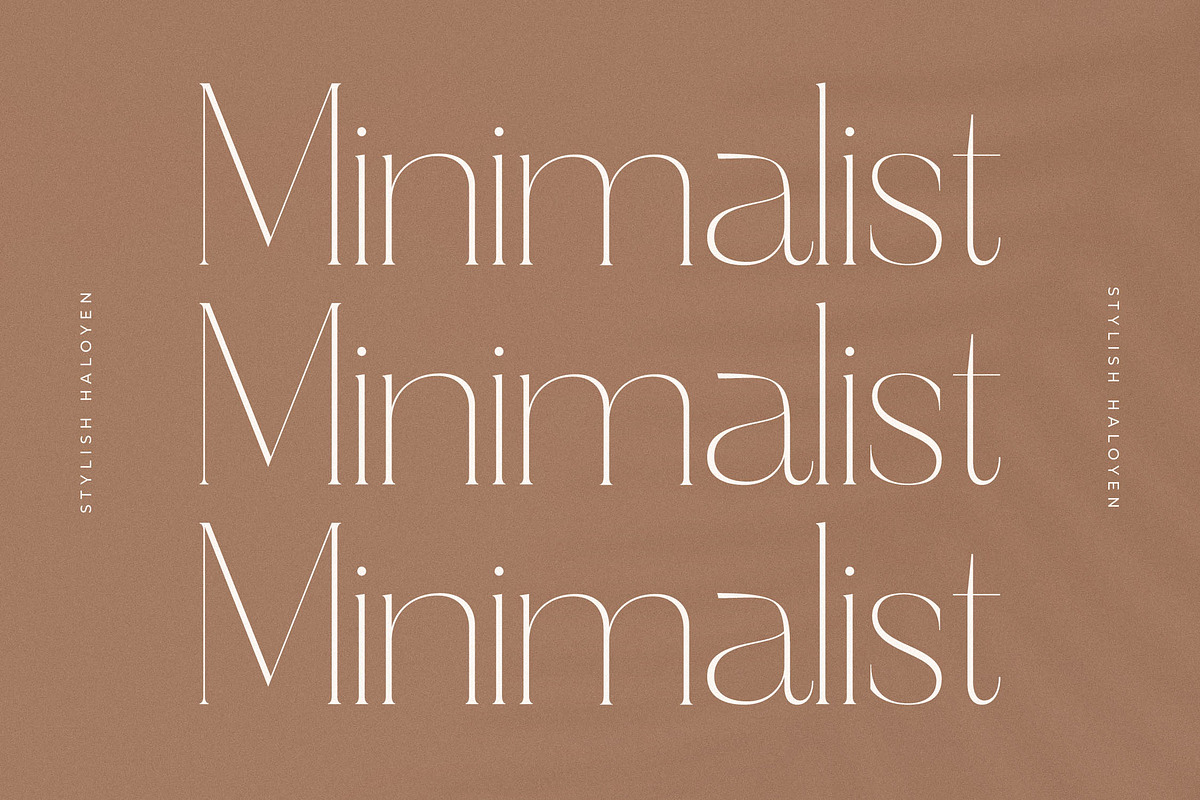 Haloyen Stylish Font Serif, a Serif Font by Storytype Studio (Photo 6 of 15)