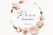 Watercolor Rose Floral Elements, a Decorative Illustration by Damian Roh (Thumbnail 13 of 13)
