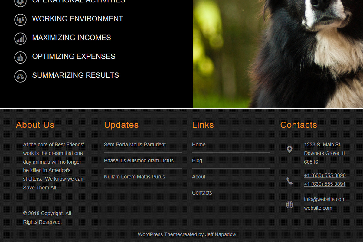 Pets - WordPress Theme, a WordPress Template by Jeff Napadow (Photo 2 of 4)