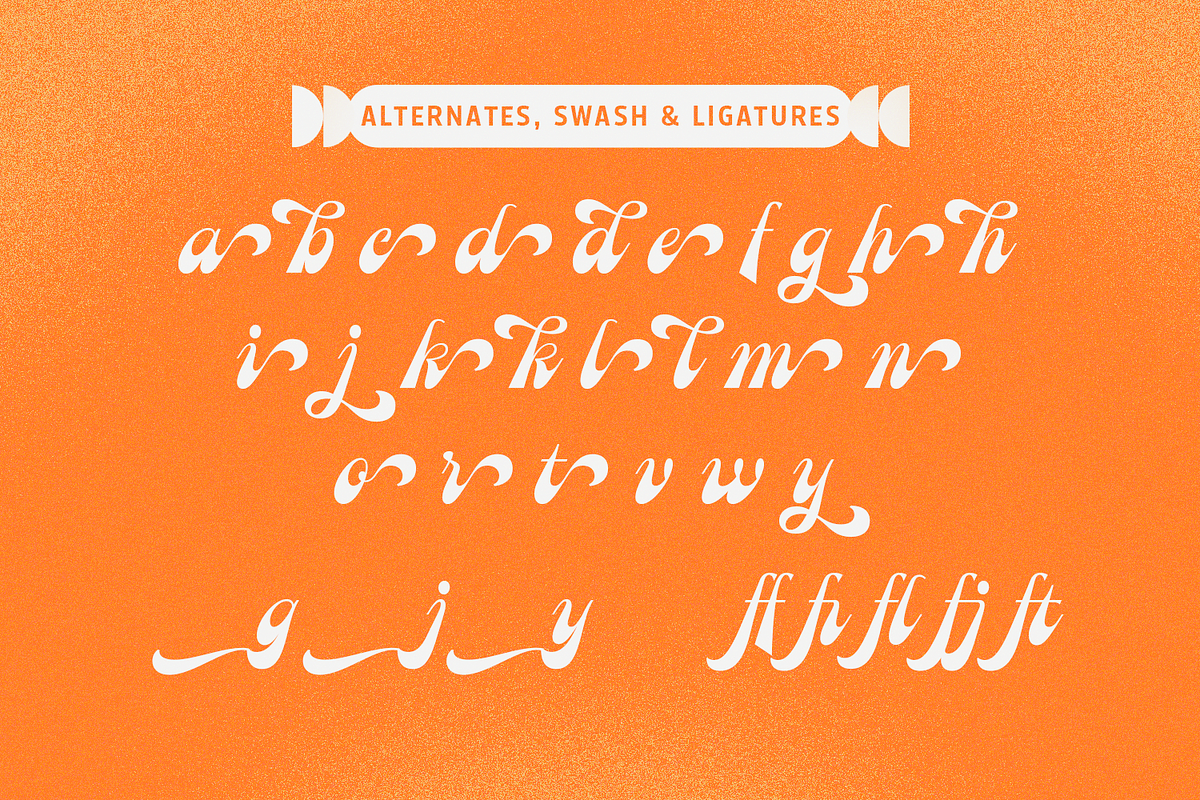Charming Flow – Classic Script, a Script Font by Almarkhatype (Photo 13 of 15)