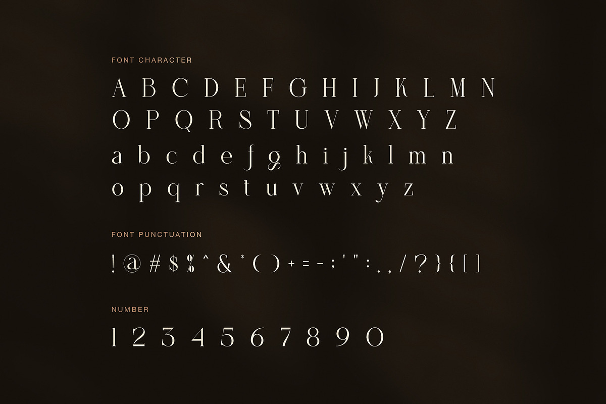 Thomas Elegant Serif Font, a Serif Font by Graphicxell (Photo 7 of 8)