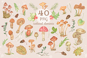 Forest watercolor mushrooms clipart, a Seasonal Illustration by Irina Avdeeva (Thumbnail 3 of 12)