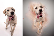 Long Exposure Effect Action, an Action Add-On by MRI STUDIO (Thumbnail 10 of 15)
