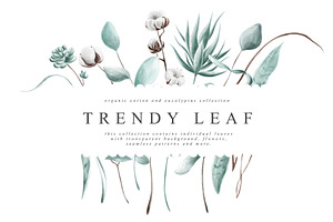 Trendy Leaf Collection