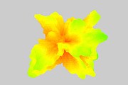 GEO_FLUID1 Vector Pack, a Background Graphic by codetoform (Thumbnail 4 of 10)