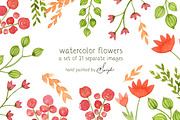 Watercolor Flowers, Floral, an Illustration by swiejko (Thumbnail 1 of 2)