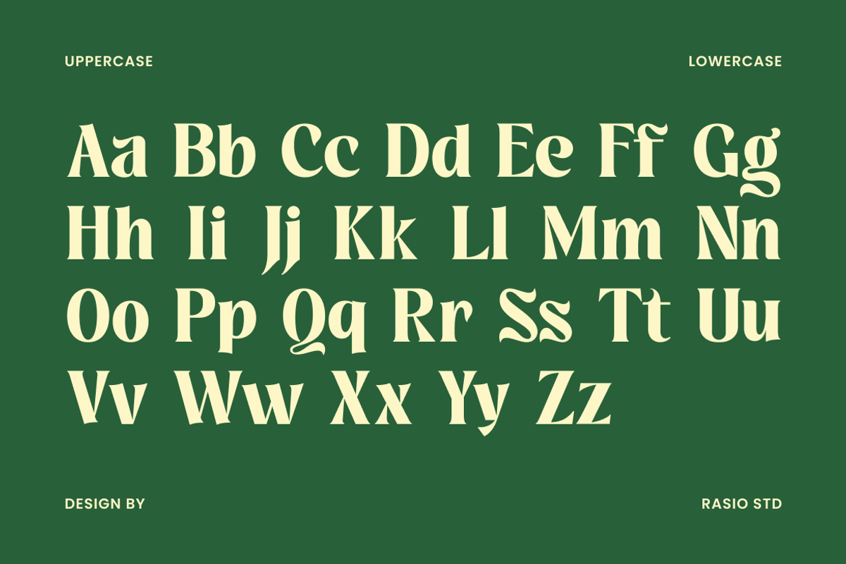 Montrielle Modern Editorial Font, a Serif Font by Rasio Studio (Photo 2 of 9)