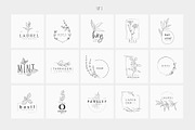 Spices. 30 Premade logos & branches, a Branding & Logo Template by Merfin (Thumbnail 5 of 8)