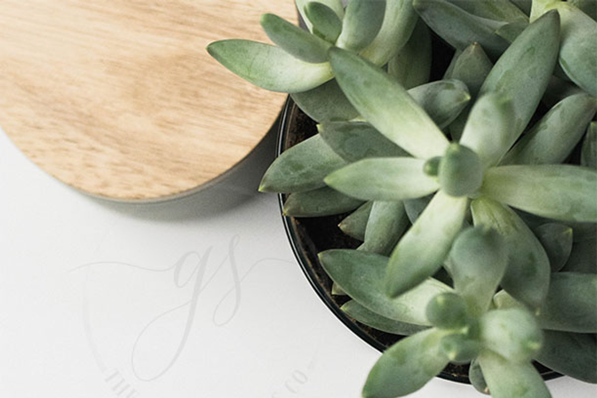 Neutral Minimalist Instagram Bundle, a Mockup by The Ginger Snaps Co (Photo 3 of 4)
