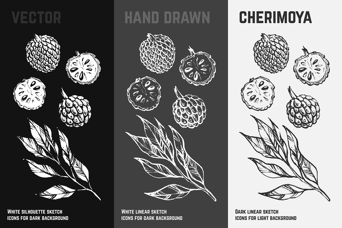 Fruits - hand drawn vector set, a Food Illustration by Margo Miller (Photo 17 of 25)