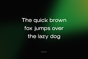 Trevia Groteska – Modern Grotesk, a Sans Serif Font by Webhance Studio (Thumbnail 5 of 13)