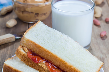 Sandwich with creamy peanut butter and strawberry jam, a Food & Drink Photo by iuliia_n