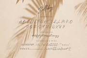 Selliboy, a Script Font by ARSAVISUAL (Thumbnail 12 of 13)