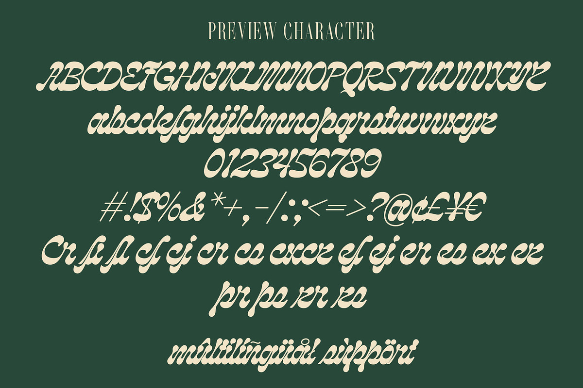 Criden | Display Script, a Script Font by Lemonthe (Photo 8 of 8)