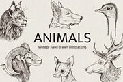 Hand Drawn Portraits of Animals, an Animal Illustration by Artspace (Thumbnail 1 of 4)