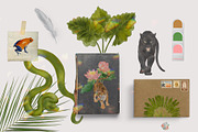 Jungle Book Watercolor Clipart, an Animal Illustration by mila_leev (Thumbnail 6 of 6)