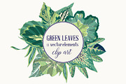 Green Leaves Vector Clip Art, a Decorative Illustration by Ania Illustration (Thumbnail 1 of 4)
