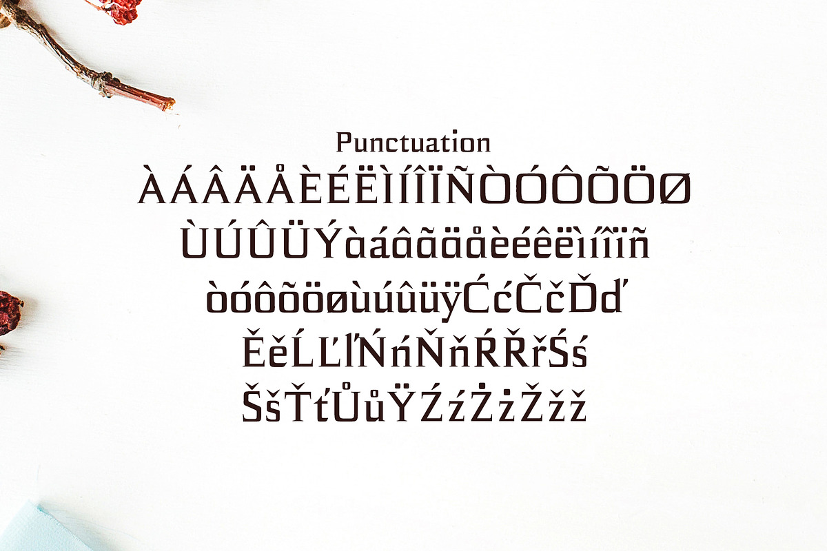 Birtle Serif 3 Font Family Pack, a Serif Font by Creativetacos (Photo 4 of 5)