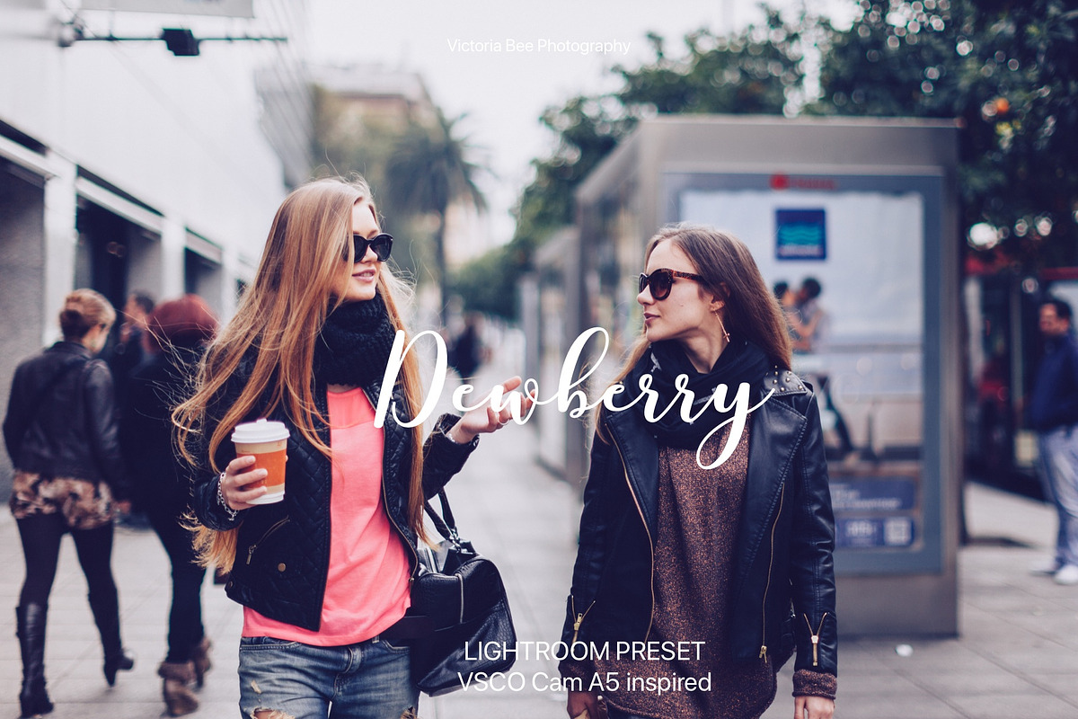 Desktop Lightroom Presets DEWBERRY, an Action Add-On by Victoria Bee Presets (Photo 13 of 18)