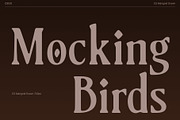 CS Marigold Drawn, a Serif Font by Craft Supply Co. (Thumbnail 2 of 8)