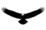 50 Flying Eagle Silhouette Vector Bu, an Illustration by Designs_River (Thumbnail 21 of 51)
