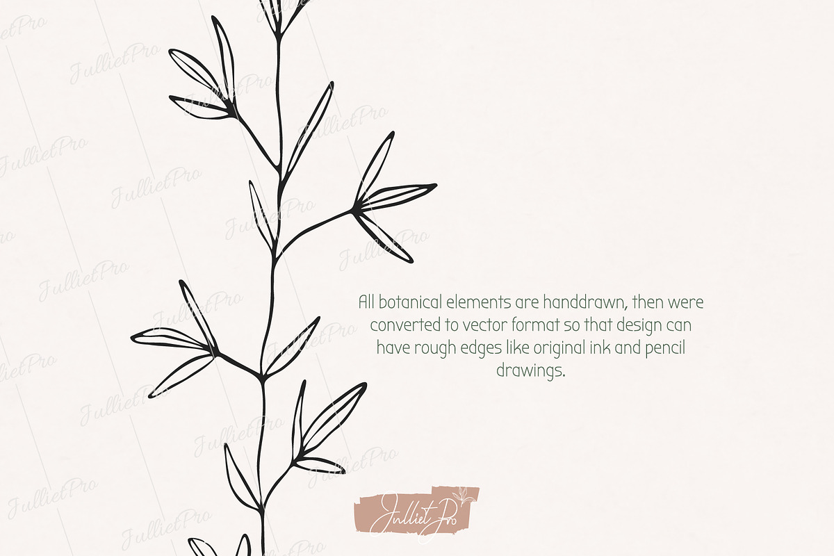 Organic shapes, botanical forms, a Decorative Illustration by JuDesign (Photo 7 of 13)