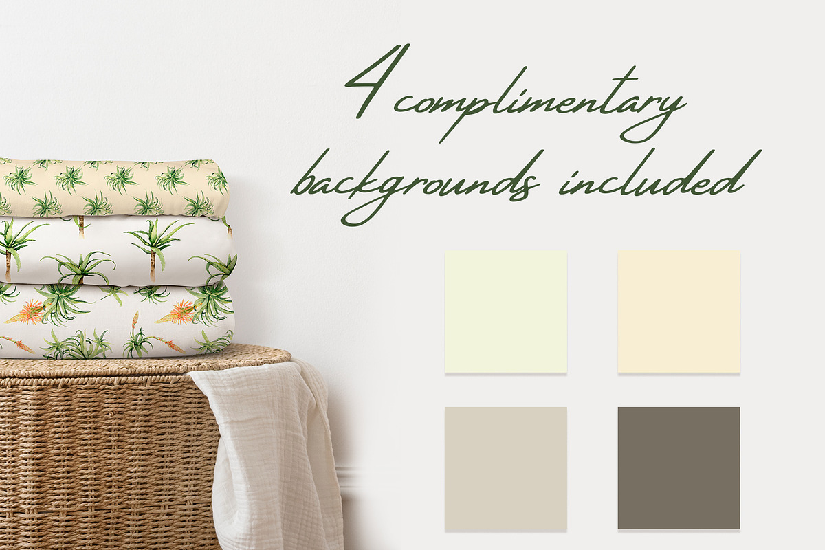 Aloe Watercolor Collection, a Decorative Illustration by WatercolorElena (Photo 10 of 11)