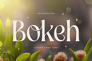 Bokeh - Luxury Logo Font, a Serif Font by Sensatype (Thumbnail 1 of 12)