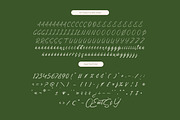 Vibrant Morning Modern Handwritten, a Script Font by Letterena Studios Script (Thumbnail 10 of 15)