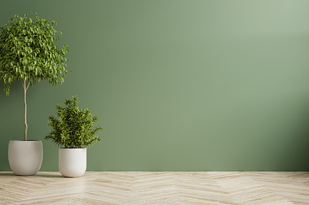 Green wall empty room., an Architecture Photo by vanitjan