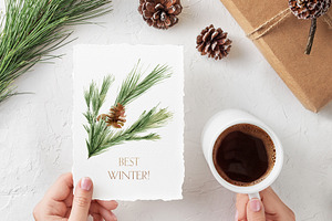 Winter Greenery Watercolor Graphics