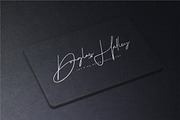 The Scientist Signature, a Script Font by PutraCetol Studio (Thumbnail 9 of 11)