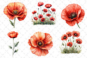 Poppy Flowers Clipart PNG, an Illustration by Dream Creation (Thumbnail 6 of 6)