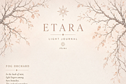 ETARA Autumn Ritual Kit, an Object Graphic by ETARA by Mea Hau (Thumbnail 14 of 64)
