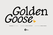 Golden Goose – Italic Infused Serif, a Serif Font by Unio Designs (Thumbnail 1 of 12)