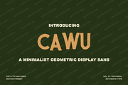 Cawu - Elegant Minimalist Serif, a Serif Font by Astuti Studio (Thumbnail 2 of 25)