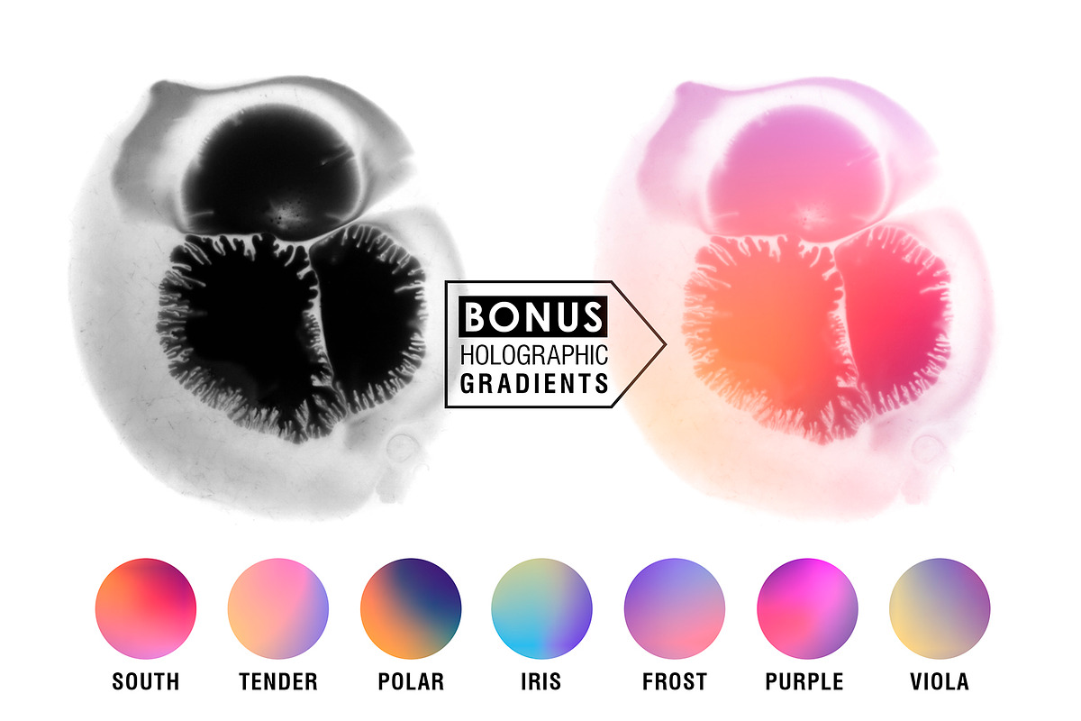 All Photoshop Stamp Brushes Bundle, a Brush Add-On by Struvictory.art (Photo 37 of 37)