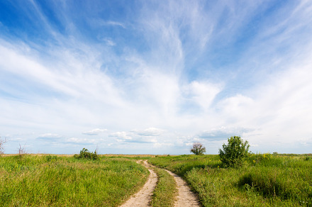 Landscape With Country Road preview 5