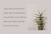 Healing Elegant Serif Typeface Font, a Serif Font by Dylla_studio (Thumbnail 7 of 15)