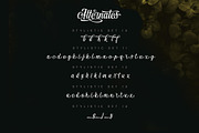 Vontgod Typeface, a Script Font by alit design (Thumbnail 3 of 18)
