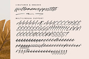 Midnight Horizon, a Script Font by Integritype Studio (Thumbnail 14 of 15)