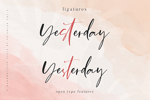 Stylish Yesterday A Luxe Chic Font