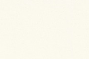 Whitetone Seamless Paper Backgrounds, a Texture Graphic by Section Type (Thumbnail 11 of 13)