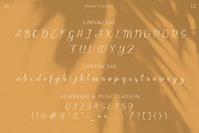 Javin, a Script Font by Flawless And Co (Thumbnail 10 of 11)