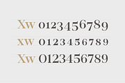 Romina / Neoclassical font family, a Serif Font by Rosario Nocera (Thumbnail 4 of 8)