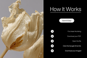 80 Floral Aesthetic Stock Images, a Background Photo by Digital Asset Co (Thumbnail 9 of 9)