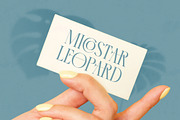 Comela Elegant Ligature Serif, a Serif Font by timelesstype.co (Thumbnail 3 of 20)