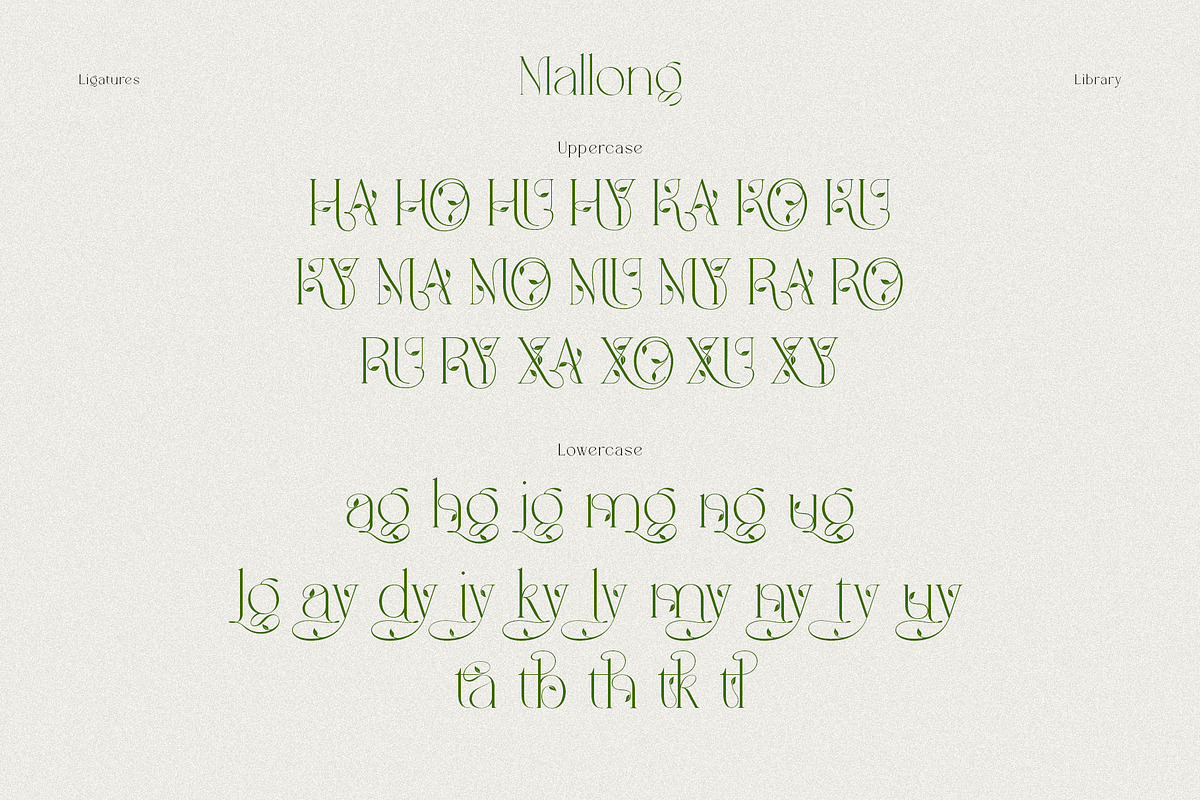 Mallong Typeface, a Serif Font by alit design (Photo 15 of 17)