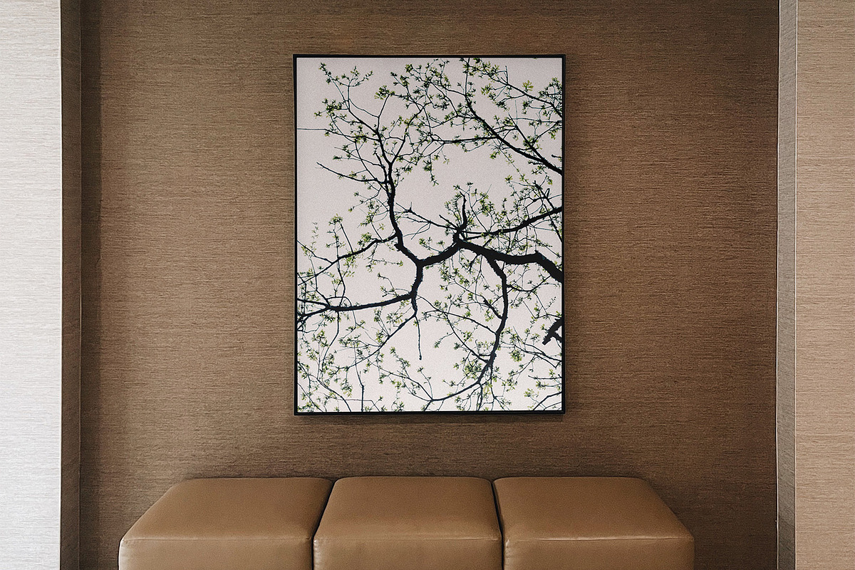Blossom Tree - Fine Art Photography, a Nature Photo by Marie Dumora (Photo 4 of 5)