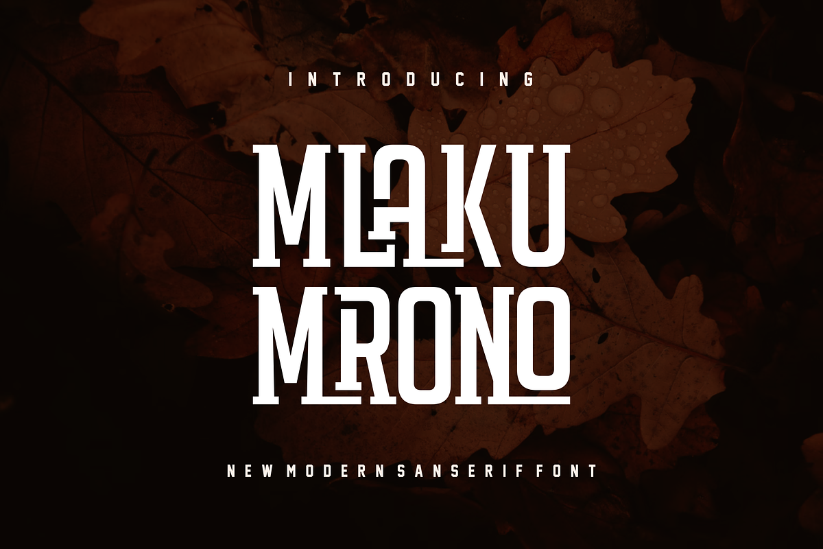 Mlakumrono, a Serif Font by albert_kalingga (Photo 1 of 3)